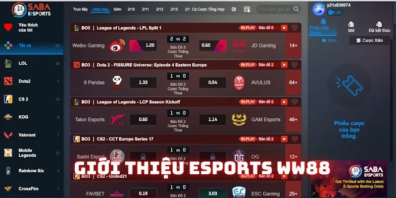 Khái quát về điểm cược Esports WW88