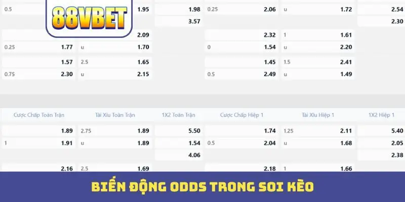 bien dong odds trong soi keo Biến động odds trong soi kèo